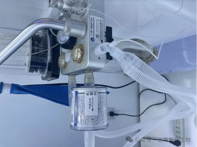 1748327662716780.jpg 2.jpg